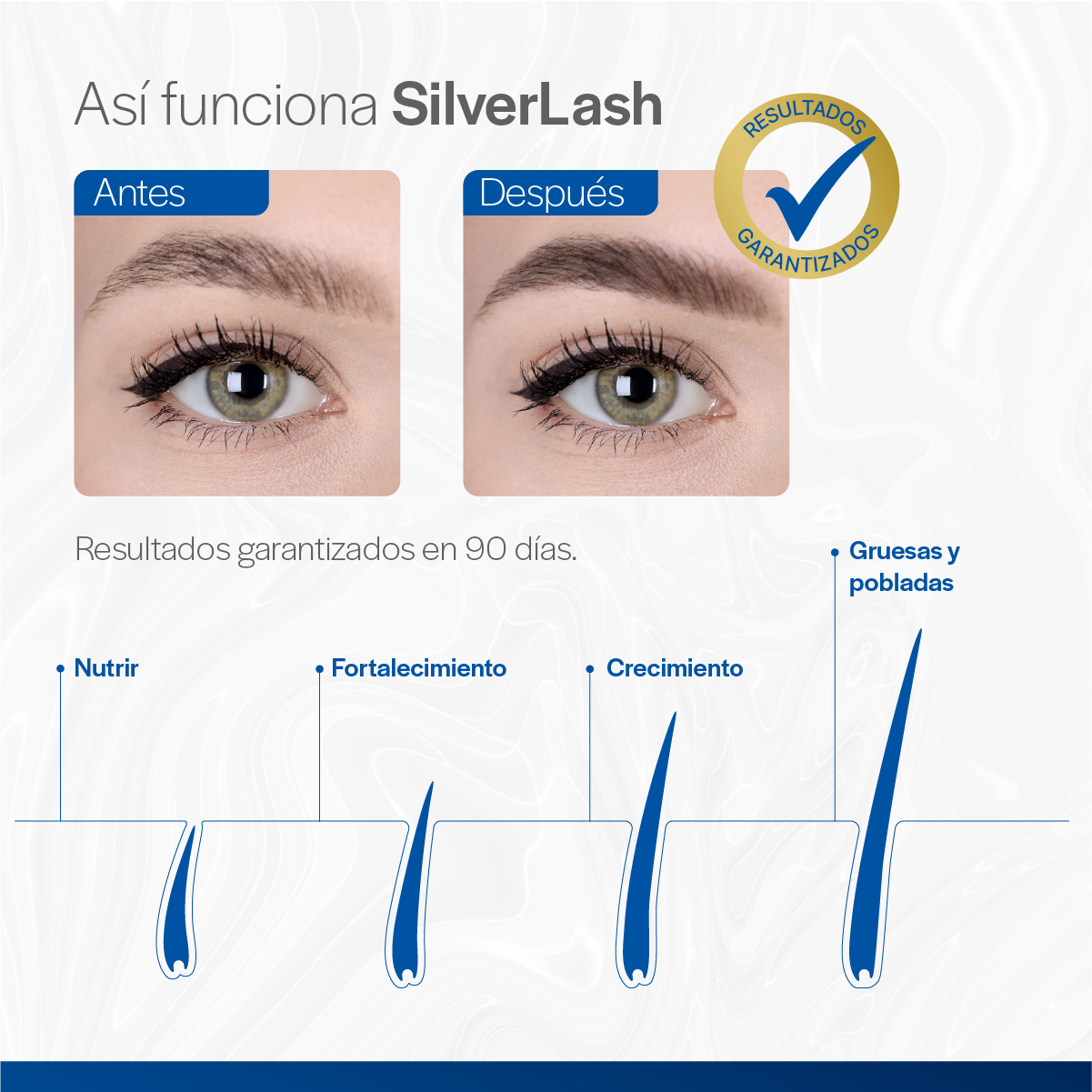 Con el Suero para Crecimiento de Cejas de SilverLash engrosa las cejas en 90 días. Cejas gruesas y pobladas.