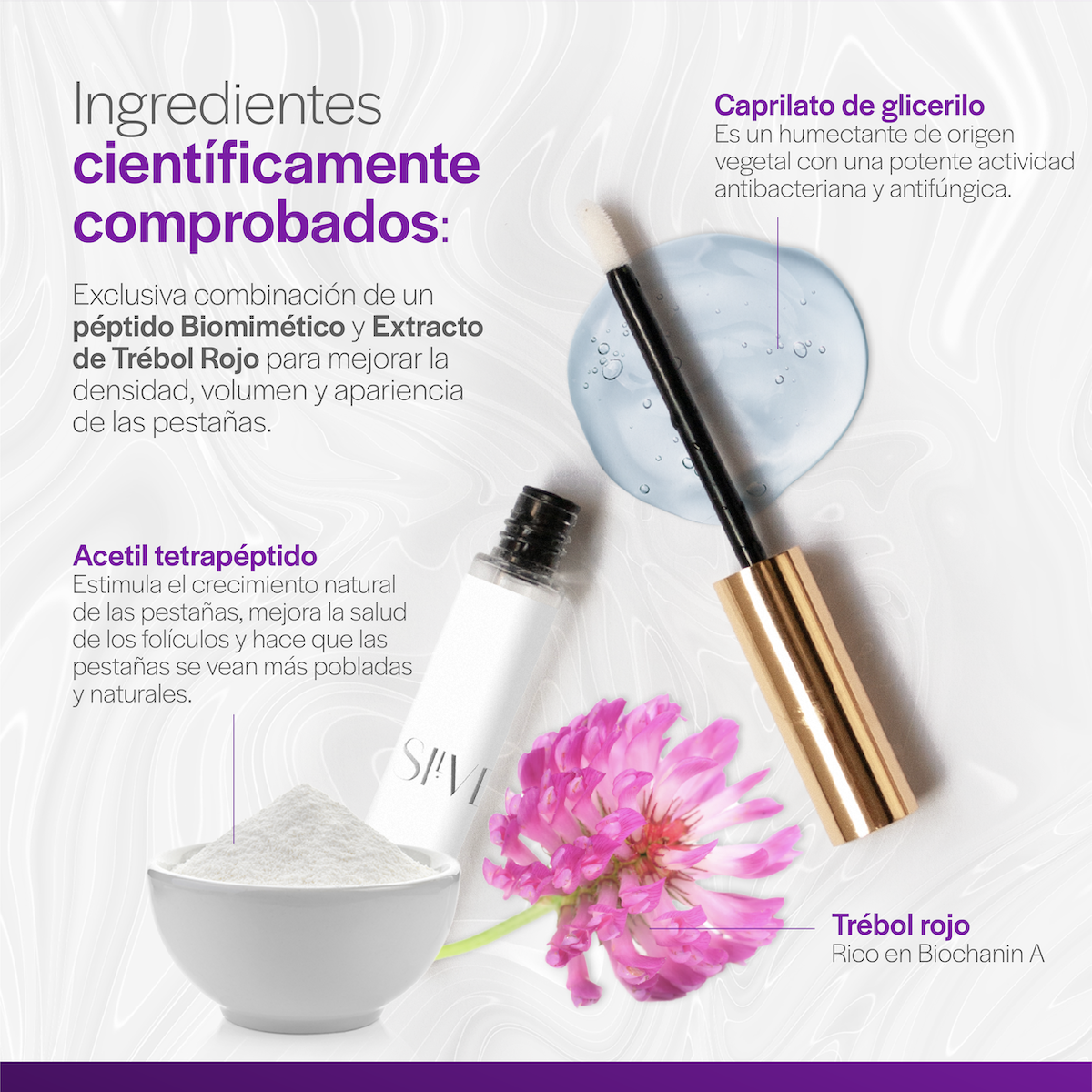 Ingredientes comprobados científicamente. Con extracto de trébol rojo para mejorar la densidad, volumen y apariencia de las pestañas. Pestañas más pobladas y saludables con el Suero para Pestañas de SilverLash.